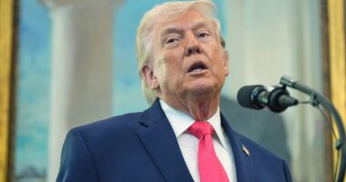 New memo claims Trump flaunted secret map to Susie Wiles on private jet