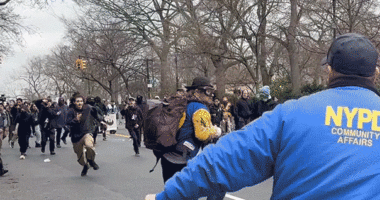 New video shows terror suspect tackled after allegedly throwing bomb at NYC protest outside mayor's residence