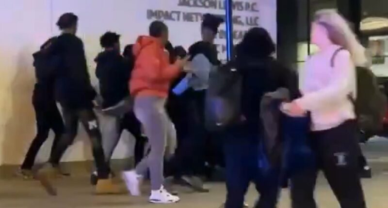 Nightmarish moment HUNDREDS of lawless teens overrun downtown Chicago