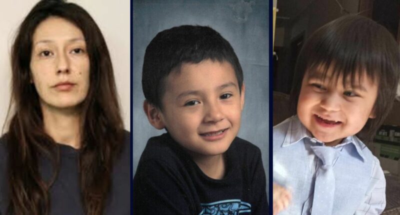 'No chance at survival': Mom stabbed 6-year-old son to death, then set fire to home's exits so her 5-year-old son could not escape