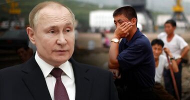 North Korean laborers describe brutal forced labor in Russia: 'Working like a cow, earning nothing'