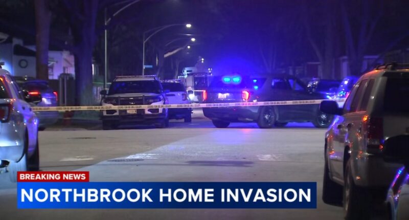 Northbrook home invasion on Butternut Lane leads to police chase, SWAT response on South Wallace Street in Chicago, officials say