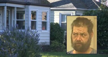 'Not her husband's voice': Stranger strolls into woman's home and says 'honey, I'm here' before attacking her while husband was doing yard work, cops say