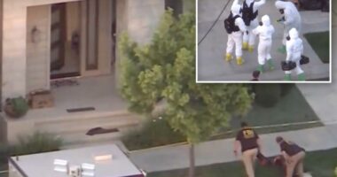 OC family deny son is a terrorist after chem experiments spark probe