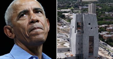 Obama Presidential Center wants 100 unpaid volunteers as Valerie Jarrett makes $740K