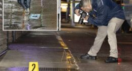 Off-duty NYPD cop shoots man in the head after tracking his wife's stolen car: sources