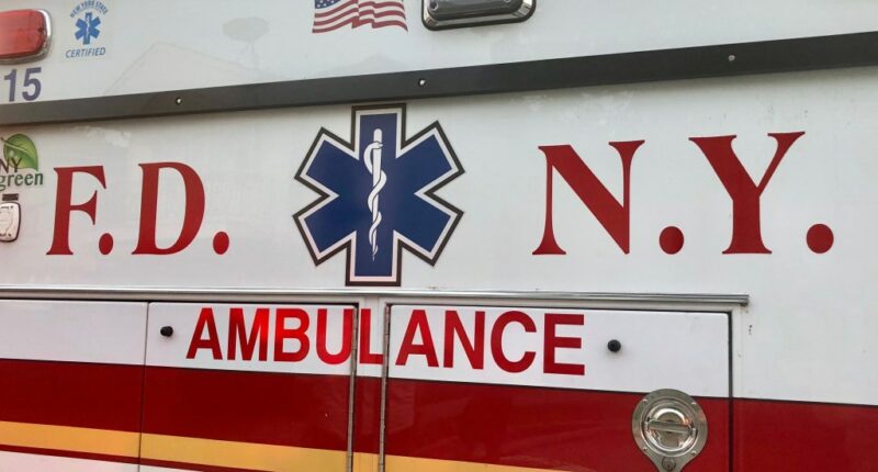 Officer injured by thrown object trying to arrest suspect at Bronx subway station