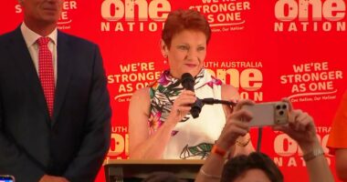 One Nation to claim seats as it emerges as  Labor's opposition in SA