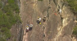 Oï»¿ne teenager is dead and another is fighting for life after the pair fell while hiking in the Glasshouse Mountains on Queensland's Sunshine Coast.