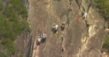 Oï»¿ne teenager is dead and another is fighting for life after the pair fell while hiking in the Glasshouse Mountains on Queensland's Sunshine Coast.