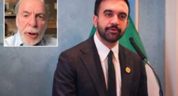 Orthodox Jewish leaders ripped for going easy on Israel-bashing NYC Mayor Zohran Mamdani: 'Easily bought'