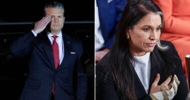 Outrage after Pete Hegseth aide ousted for 'leaks' lands new job