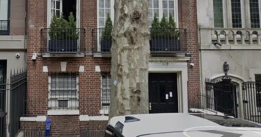 Outrageous full story of the 'squatter from hell'