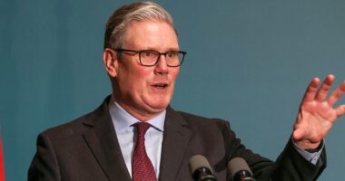 PM 'has told lie after lie after lie', says Kemi