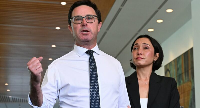 PVO: David Littleproud's resignation from the Nationals could save it