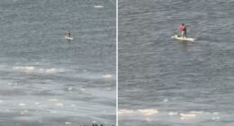 Paddleboarder wearing backpack cruises along the icy Hudson River: video