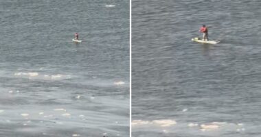 Paddleboarder wearing backpack cruises along the icy Hudson River: video