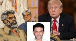 Pakistani terrorist recruited by Iranian spies convicted of plotting to kill Trump, other US pols in harebrained plan foiled by feds