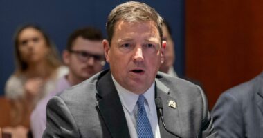 Panicked Trump pardon attorney pestered judges for 'face-to-face' time to try and shut down bar investigation: Petition