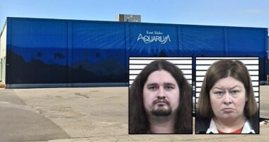 Parents spent family time at aquarium beating their 7-year-old, slamming child's head into electrical box: Cops