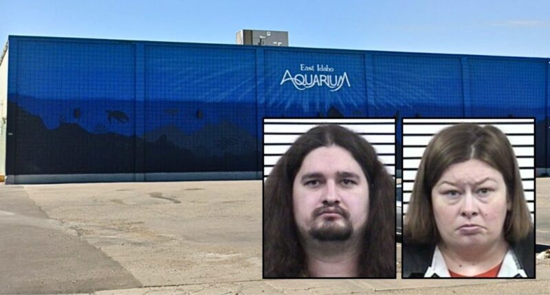 Parents spent family time at aquarium beating their 7-year-old, slamming child's head into electrical box: Cops