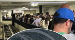 Passengers Feel Positive Impact of ICE Officers Helping TSA at Major Texas Airport