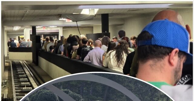 Passengers Feel Positive Impact of ICE Officers Helping TSA at Major Texas Airport