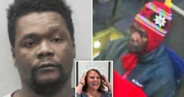 Pathetic reason illegal migrant who 'hacked mom to death' in lefty DC suburb was free â despite 30 arrests