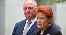 Pauline Hanson apologises after shocking 'no good Muslim' comment