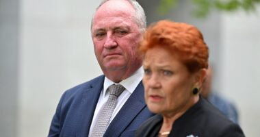 Pauline Hanson apologises after shocking 'no good Muslim' comment