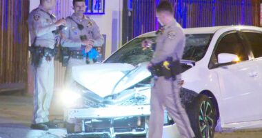 Pedestrian killed in Los Angeles hit and run