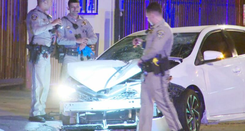 Pedestrian killed in Los Angeles hit and run