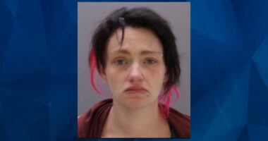 Pennsylvania Mom Slams Young Son Into Walmart Shopping Cart, Giving Him Concussion