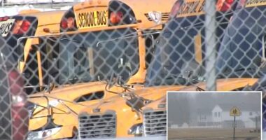Pennsylvania bus driver Kelly Weber four times over legal limit DUI with 54 students on board