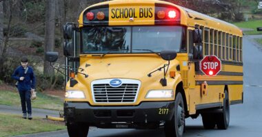 Pennsylvania bus driver charged with endangering dozens of elementary students while intoxicated