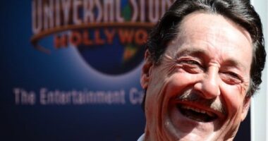 Peter Cullen Net Worth