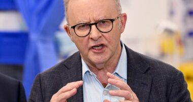 Petrol crisis set to worsen as ships bound for Australia cancelled