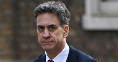 'Petulant and pacifist' Red Ed led Cabinet revolt against Trump's war