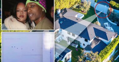 Photos of Rihanna's Beverly Hills mansion full of bullet holes