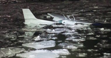 Pilot, passenger swim to safety after plane crashes into New York's Hudson River