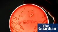 Pipeline of new drugs to fight superbugs is ‘worryingly thin’, experts warn