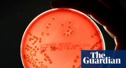 Pipeline of new drugs to fight superbugs is ‘worryingly thin’, experts warn