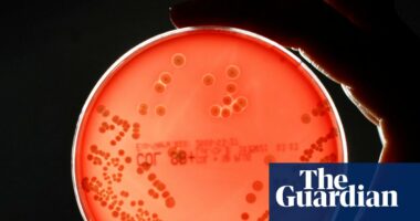 Pipeline of new drugs to fight superbugs is ‘worryingly thin’, experts warn