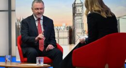 Please don't panic! Minister insists UK CAN stop Iranian missiles despite alarm over lack of defences... and no need for fuel rationing 'as it stands'