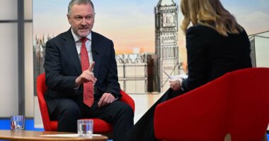 Please don't panic! Minister insists UK CAN stop Iranian missiles despite alarm over lack of defences... and no need for fuel rationing 'as it stands'