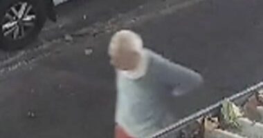 Police 'shocked' after 71-year-old stabbed by stranger on morning walk