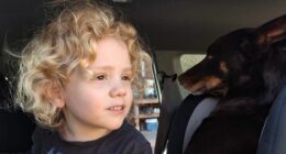 Gus Lamont has been missing since September.