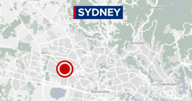 Police hunting for man who allegedly broke into Sydney apartment, sexually assaulted sleeping woman