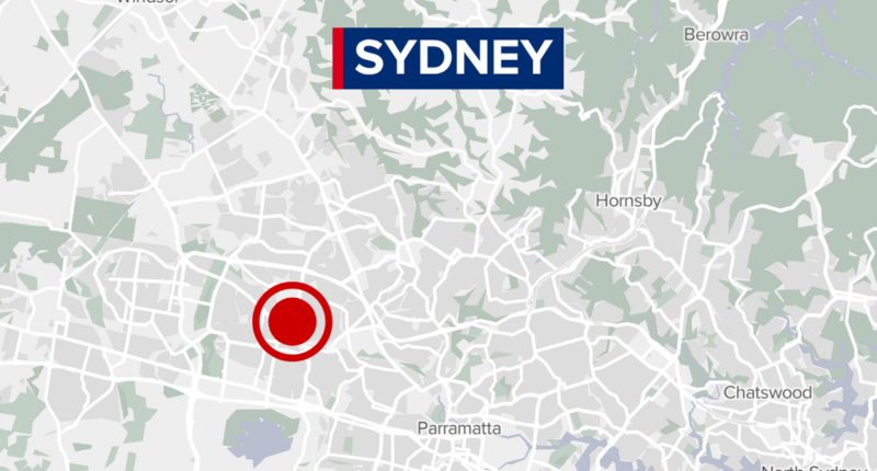 Police hunting for man who allegedly broke into Sydney apartment, sexually assaulted sleeping woman