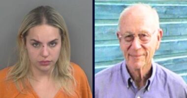 Police officer let alleged drunk driver go after traffic stop hours before she slammed into 96-year-old geologist in fatal wrong-way crash: DA